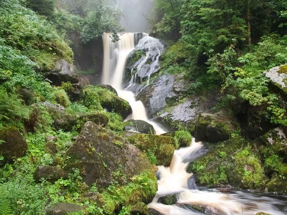 foresta nera in germania